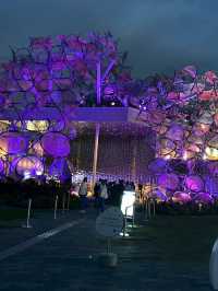 Kyoto and World Expo Osaka 