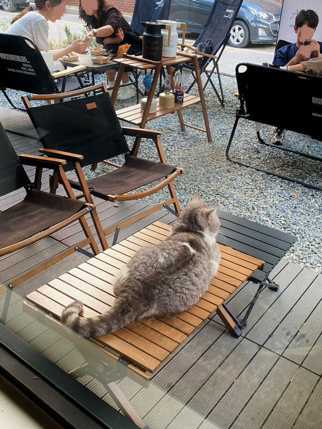 💖수원 행궁동, 아우토그라프커피 행궁본점💓