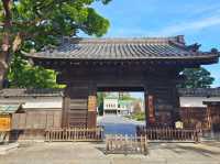 獨旅 🏯 高雄直飛名古屋