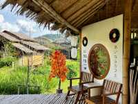 Ai Nara Cafe: Super Chill in a Chiang Mai Valley! ☕🐕🌿