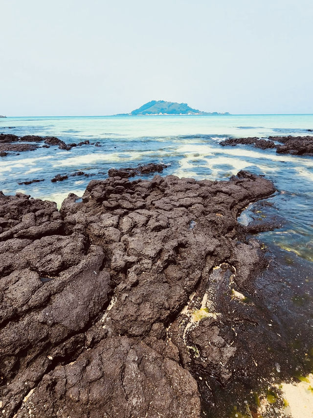  Jeju Island Summer Survival Guide