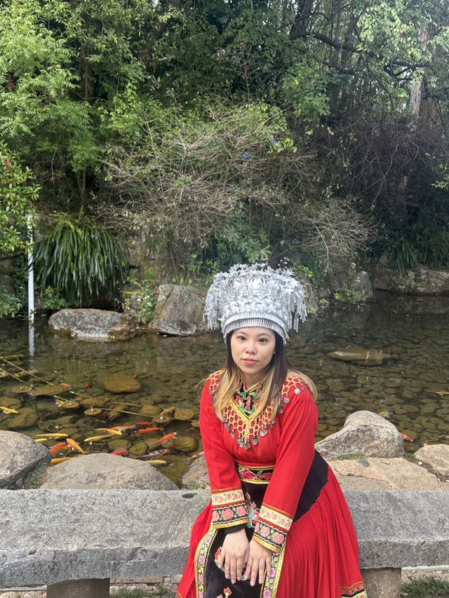 Discover the Colorful Charm of Butterfly Park – A Hidden Gem in Yunnan