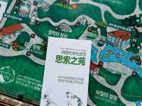 Jeju Island's Hidden Gem: Sosokkak — A Place of Thought and Healing! 🌳🧘‍♀️
