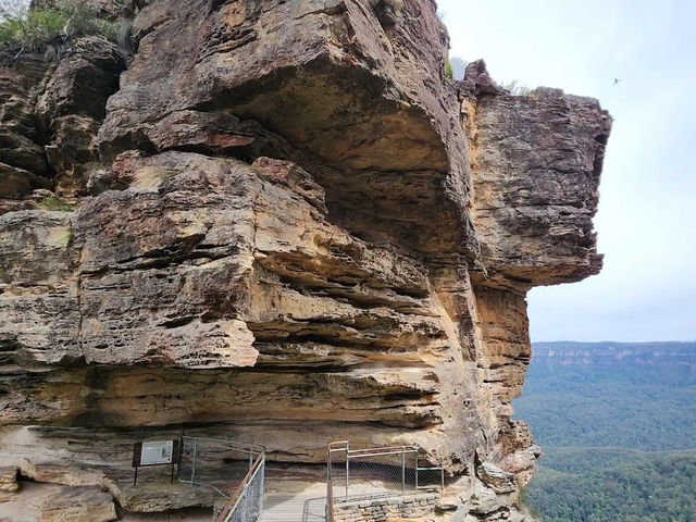 🏞️【青い霧に包まれる絶景】ブルー・マウンテンズで深呼吸する旅