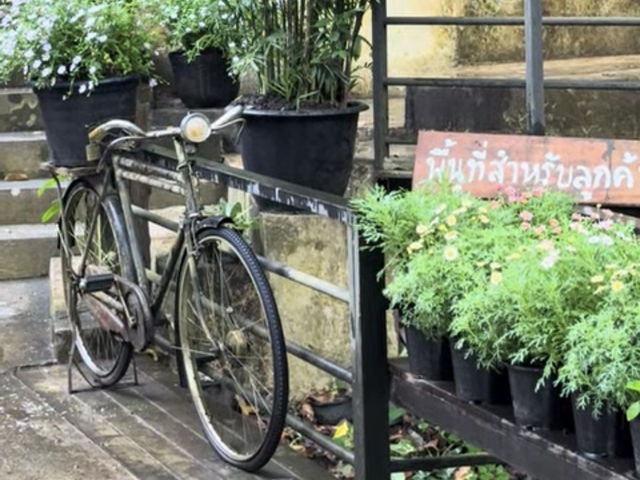 No Coffee, Just Vibes – Proud Cafe Life