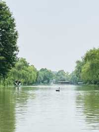 Where Water Meets Elegance: A Day at Slender West Lake