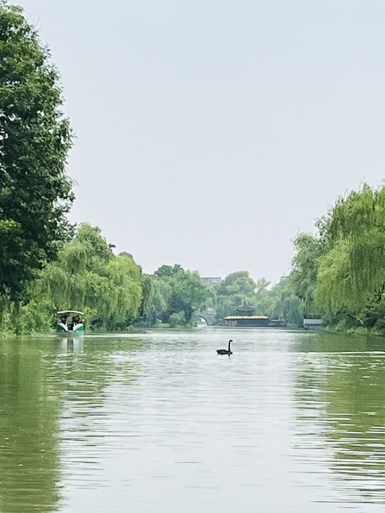 Where Water Meets Elegance: A Day at Slender West Lake