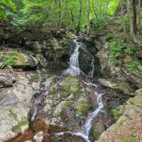 Discovering Jirisan’s Secret Vibe at Samseonggung