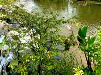 The impressive awe-inspiring Reflection Pond