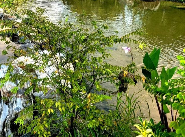 The impressive awe-inspiring Reflection Pond