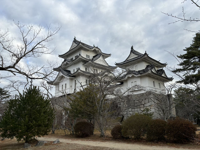 伊賀上野城（石垣非常壯觀）