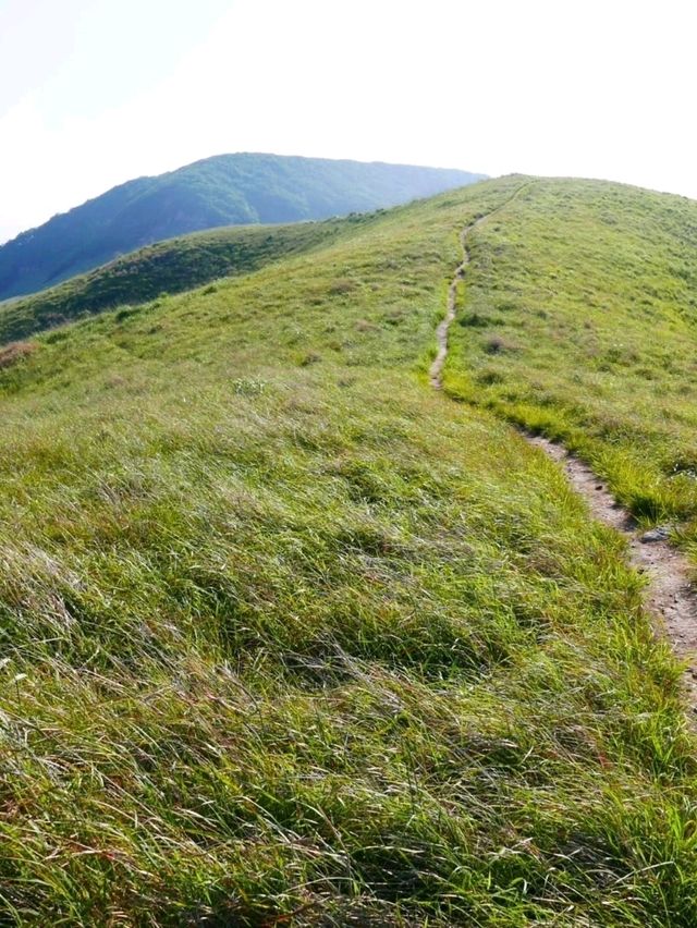 Gaemeori Hill on Gureopdo