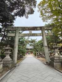 Kamigyo Ward: Where History Breaths Through Imperial Walls