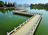 高雄人的後花園：澄清湖慢步日常
