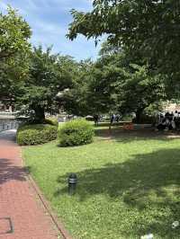 みなとみらいの癒しスポット🌳公園の中のビューポイントでのんびりしよう✨