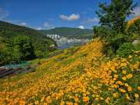 Flower Vibes at Jisepo