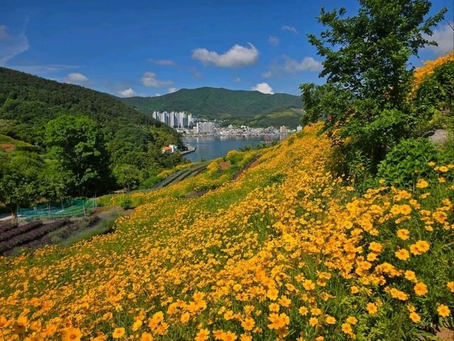 Flower Vibes at Jisepo