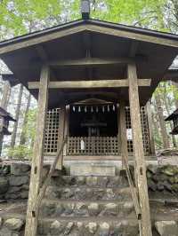 【埼玉⛰️】関東最強のパワースポット三峯神社で登山🧗