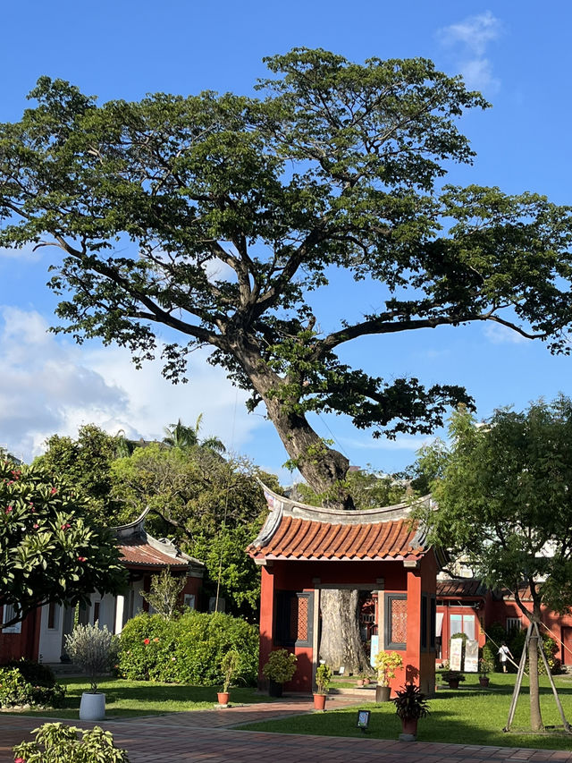 相較於北部的忙碌，南部的生活步調更悠閒，讓人想慢下腳步，好好感受