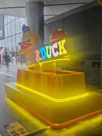 深圳有小黃鴨樂園，超可愛鴨鴨，睇得又玩得