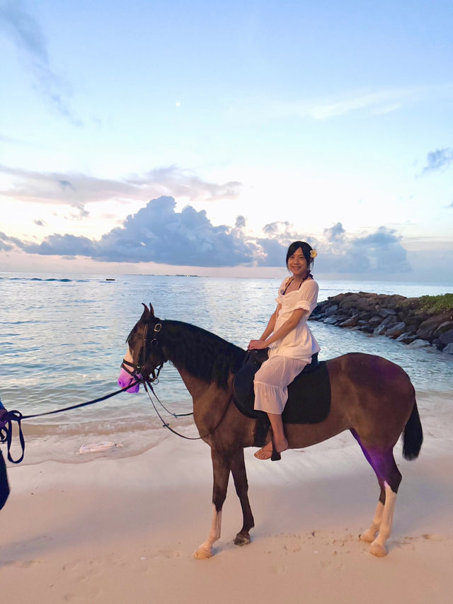 馬爾地夫🇲🇻海邊騎馬初體驗