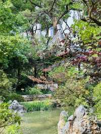 🌸 Discover Zuibaichi Park Shanghai | Ancient Poetry Garden & Tranquil Beauty