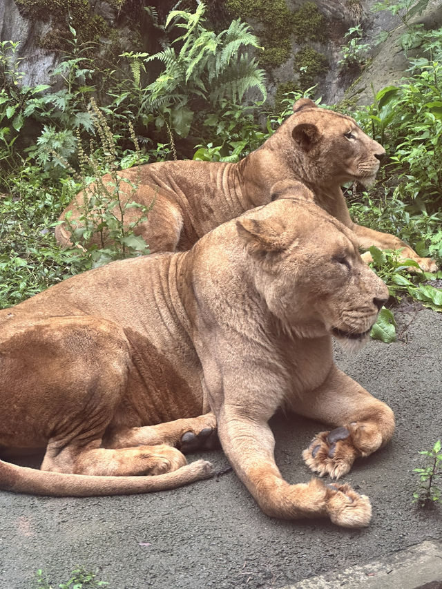A Perfect Blend of Nature and Wildlife