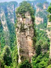 Feeling Like I Stepped Into a Movie – Zhangjiajie Avatar Hallelujah Mountain