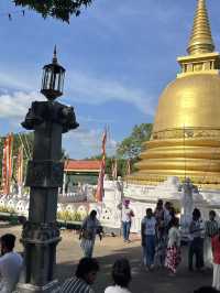 🏞️🇱🇰 Sigiriya + Dambulla Day Trip – Sri Lanka’s Ancient Wonders in One Day