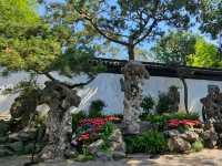 The unforgettable Suzhou that soothes tired eyes