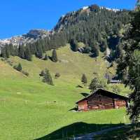 Grindelwald First – Trottibike & Zipline
