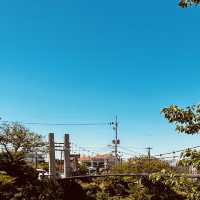 Easily Accessible Natural Beauty Near Jeju City