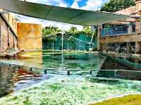 探險灣水上樂園