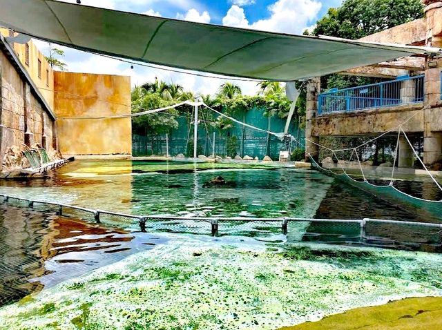 探險灣水上樂園