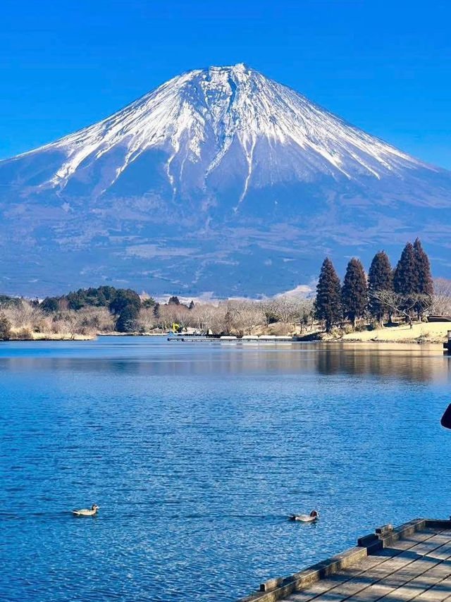 ทะเลสาบทานุกิ (Lake Tanuki)