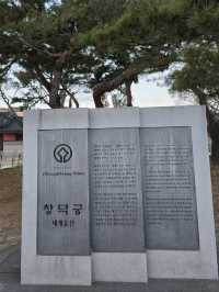 Changdeokgung Palace, Seoul – A Serene Glimpse into Korea’s Royal Past