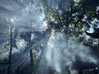 杭州靈隱寺：江南最具獨特禪意兼美學之叢林寺院