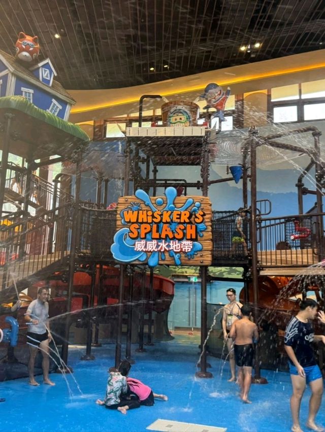 Ocean Park Water World: Splash-Tastic Fun in Every Drop