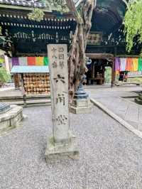 京都 | 頂法寺六角堂，被高樓大廈包圍的街區佛寺