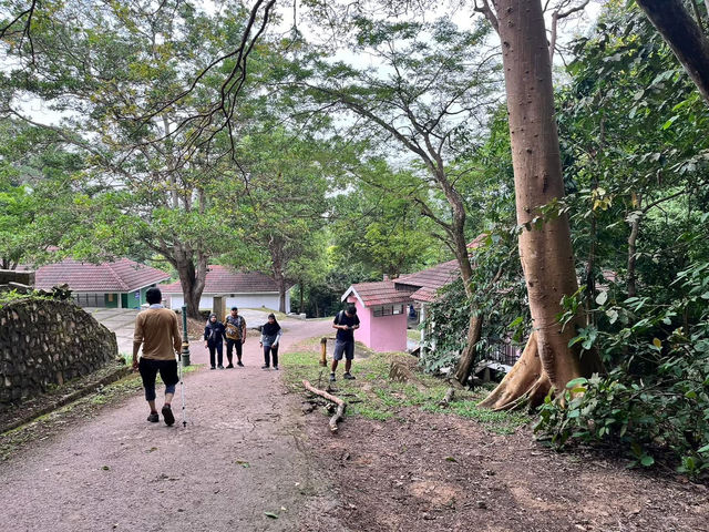 🏞 Gunung Lambak: Conquered the Jungle Beast!