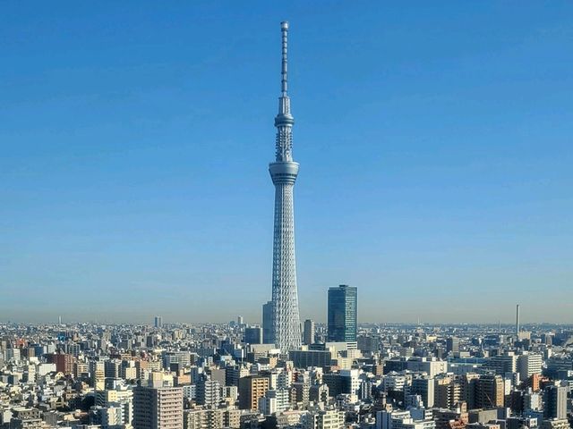 도쿄감성 다이이치 호텔 료고쿠(Daiichi Hotel Ryogoku) 프리미엄 더블룸 스카이트리뷰