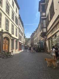 🏡アルザスの宝石・ストラスブール✨運河と木組みの街で過ごすヨーロッパ時間🇫🇷🇩🇪