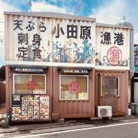 Odawara Harbor: A Solo Traveler’s Salt-Kissed Escape Under the Castle Walls"** 🏯🌊
