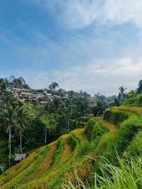 Green Stairways & Sunrise Stillness: Tegalalang’s Timeless Beauty
