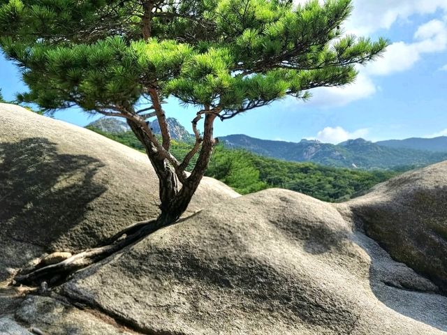 City Meets Nature: Bukhansan National Park