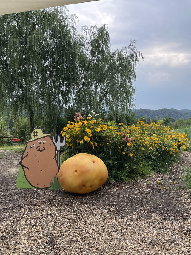 춘천여행