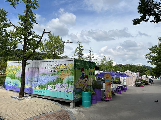 Seoul best kept secrets #6 international garden show 🌺🌻🪻