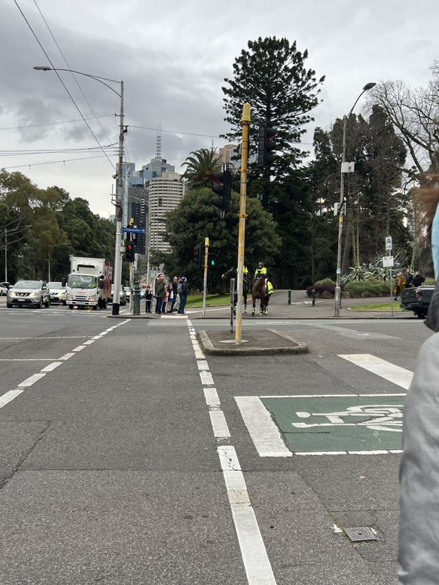 7D6N Melbourne & Beyond Adventure!