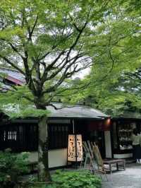 京都必去景點（八） 三千院🌳禪意之美