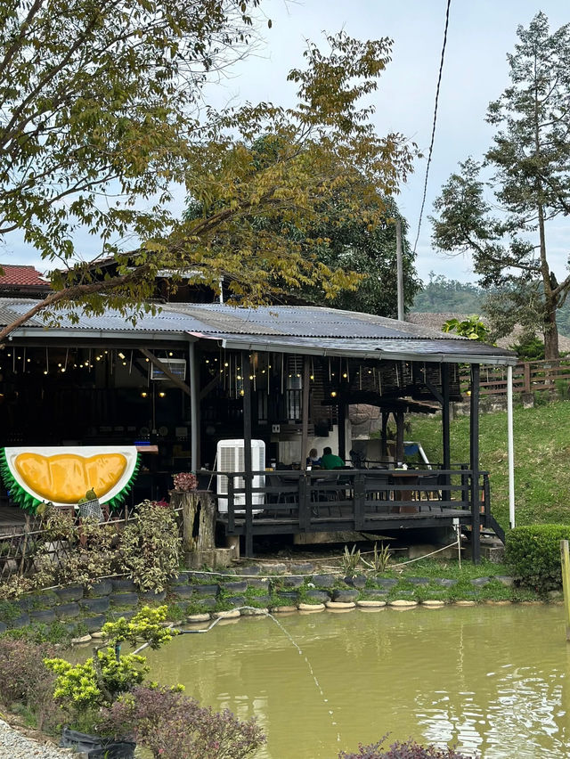 Durian Moments in the Hills: My Visit to Rimba by Dking near Genting